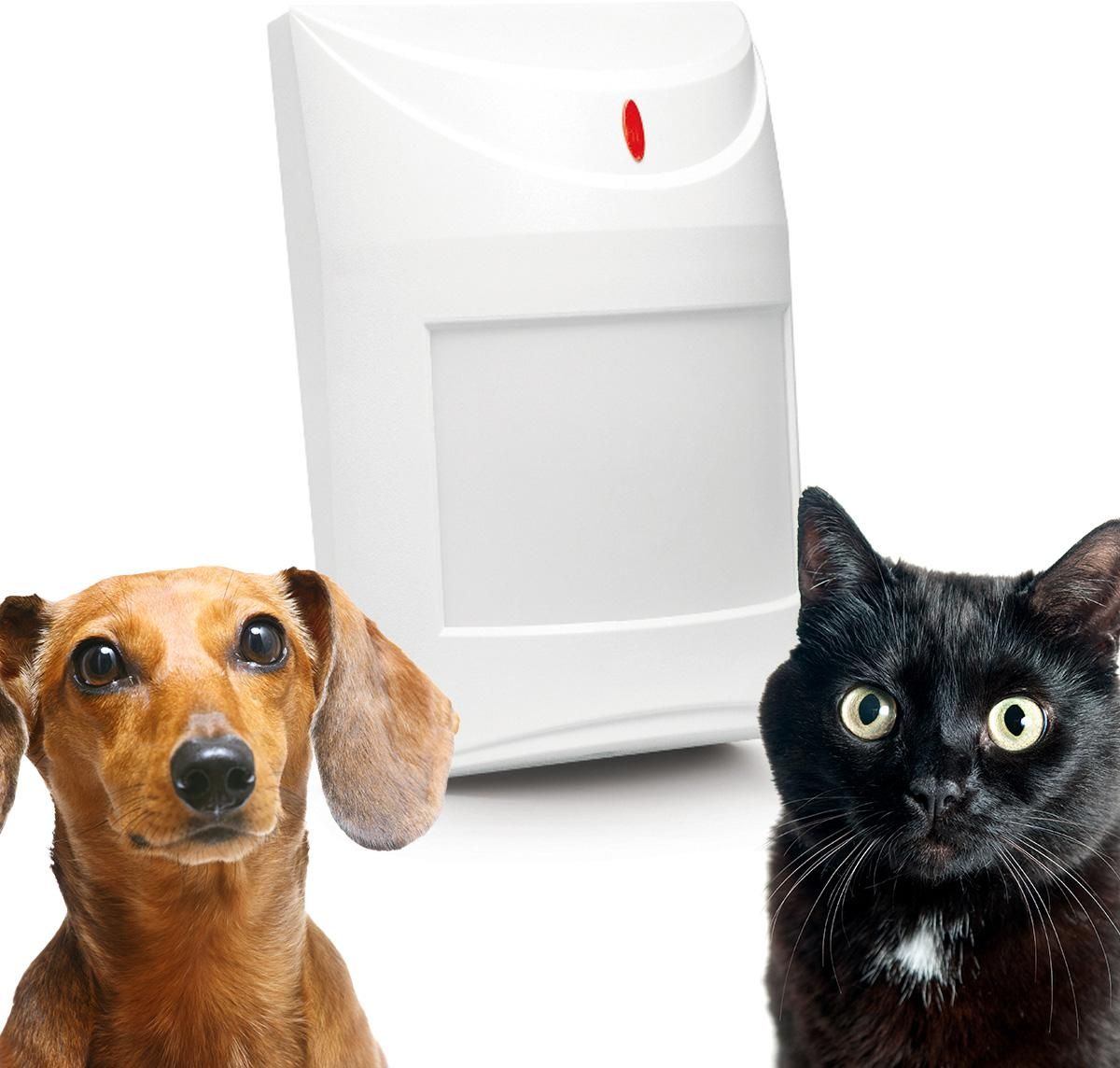 SATEL CZUJNIK RUCHU PIR AQUA PET-1